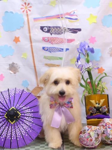 20240526ルッカくん